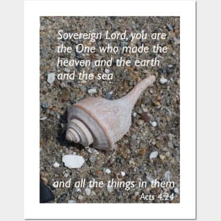 Lispe Whelk on Beach Posters and Art